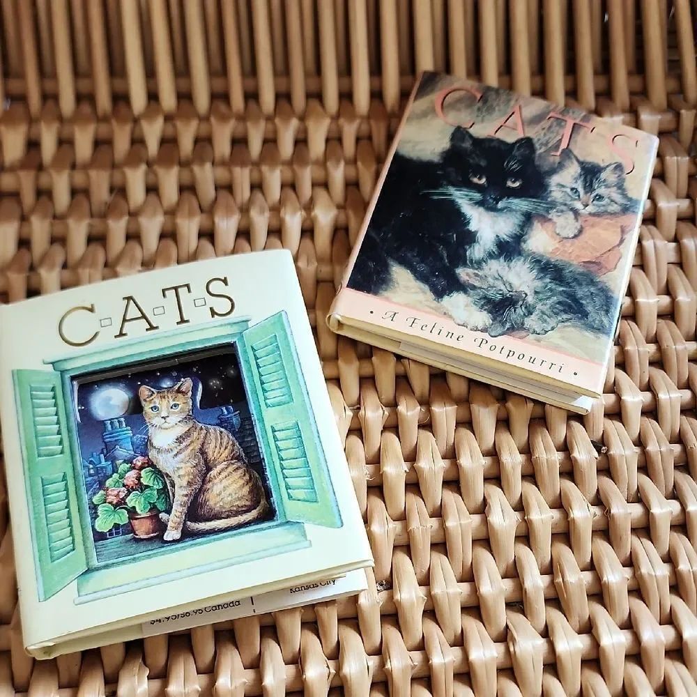 Two Mini Cat Books